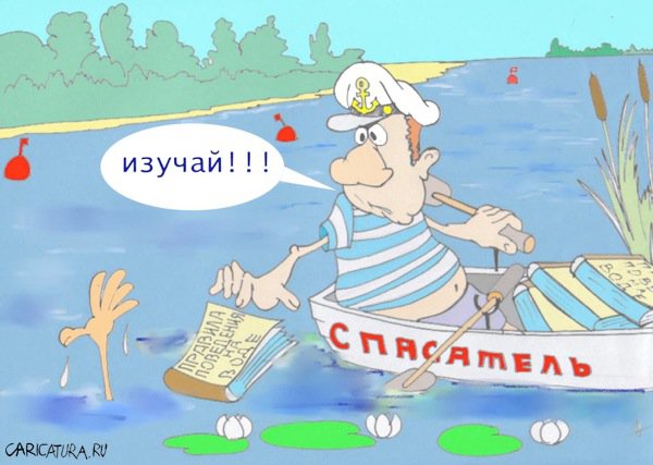 Карикатура "Соблюдайте правила!", Александр Шауров