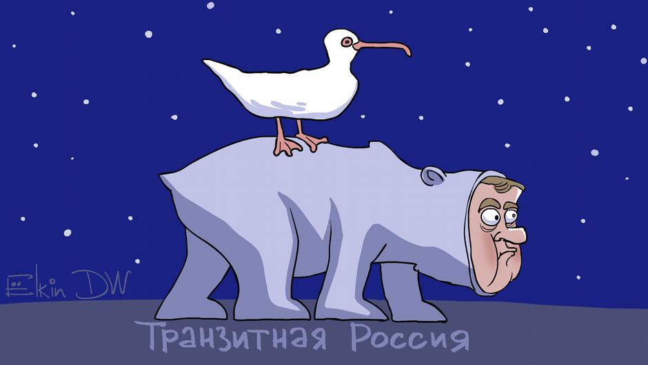 Карикатура "От Чайки до Медведева", Сергей Елкин