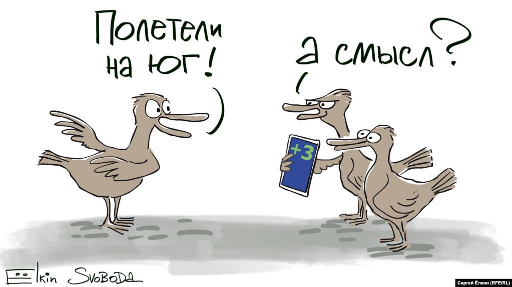 Карикатура "Смысл", Сергей Елкин