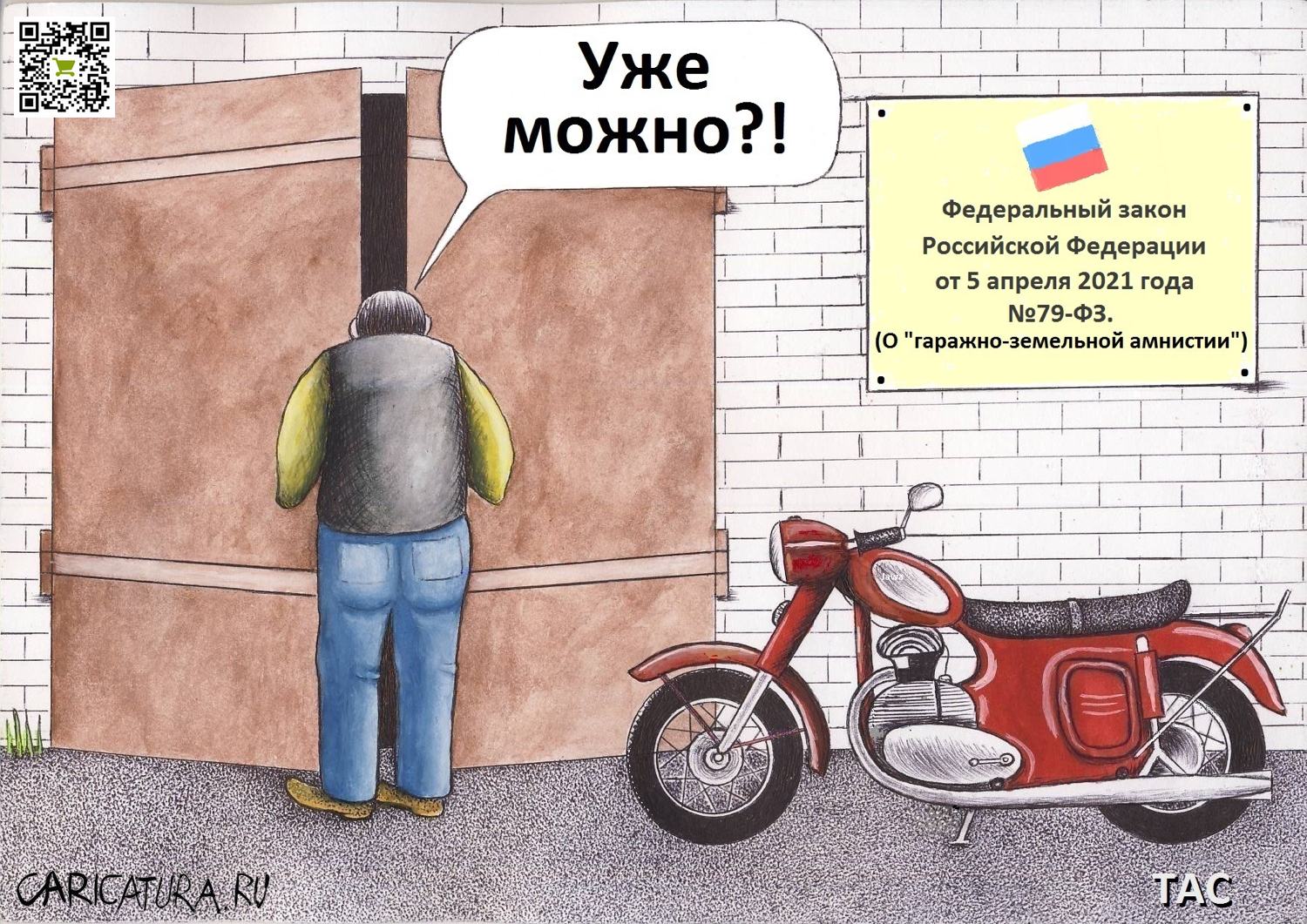 Карикатура "Гаражная амнистия", Александр Троицкий