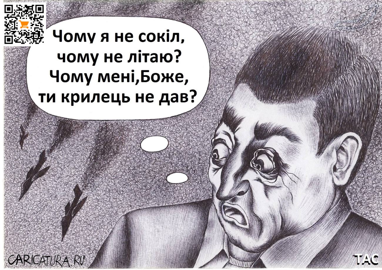 Карикатура "Почему Зеленский не сокол?", Александр Троицкий