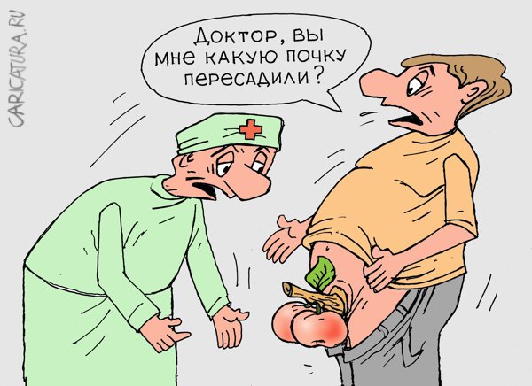 Карикатура "Пересадка почки", Виктор Богданов