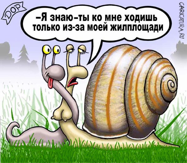 Карикатура "Квартирный вопрос", Руслан Долженец