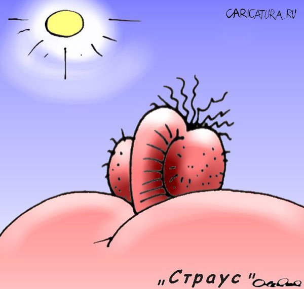 Карикатура "Страус", Олег Горбачев