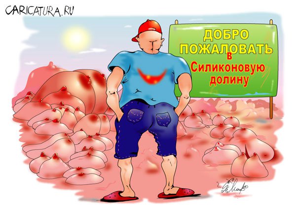 Карикатура "Силиконовая долина", Алексей Молчанов