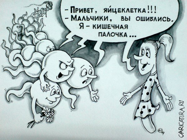 Карикатура "Не туда попали", Максим Осипов