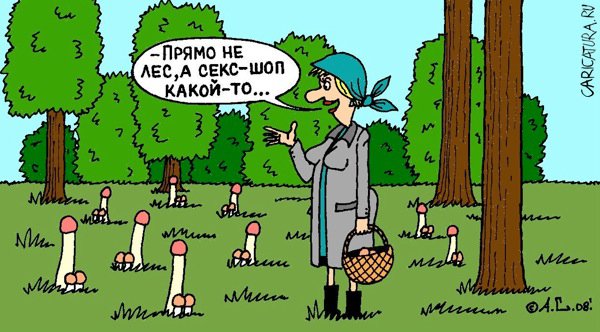 Карикатура "Лесной секс-шоп", Александр Саламатин