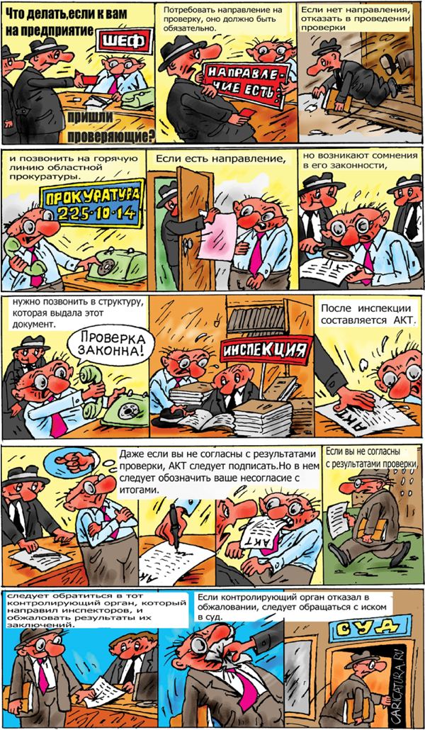 Комикс "Пришли проверяющие", Виктор Богданов