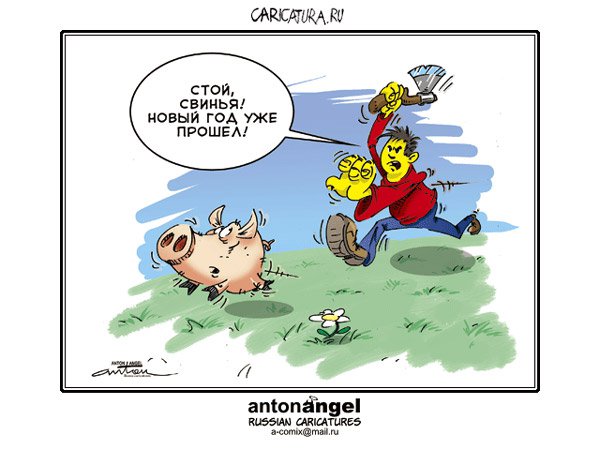 Карикатура "Новый год уже прошел", Антон Ангел
