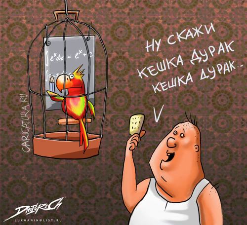 Карикатура "Дурак", Дмитрий Луханин