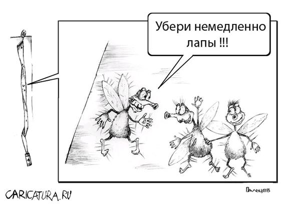 Карикатура "Благоприятное стечение обстоятельств", Дмитрий Пальцев