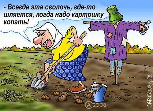 Карикатура "Чучело", Андрей Саенко