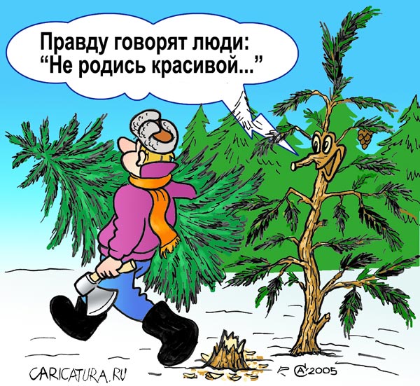 Карикатура "Не родись красивой", Андрей Саенко