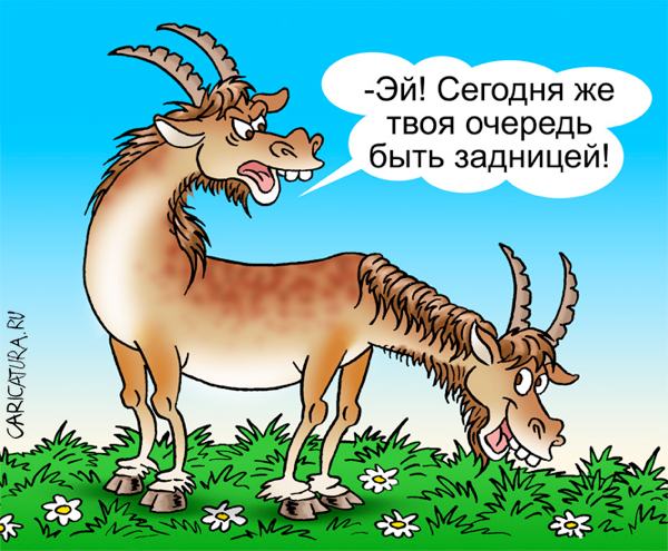 Карикатура "Тяни-Толкай", Андрей Саенко