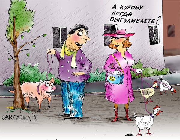 Карикатура "Антикризисные домашние питомцы", Алла Сердюкова