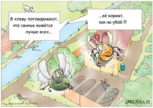 Карикатура "Поговаривают", Антон Афанасев