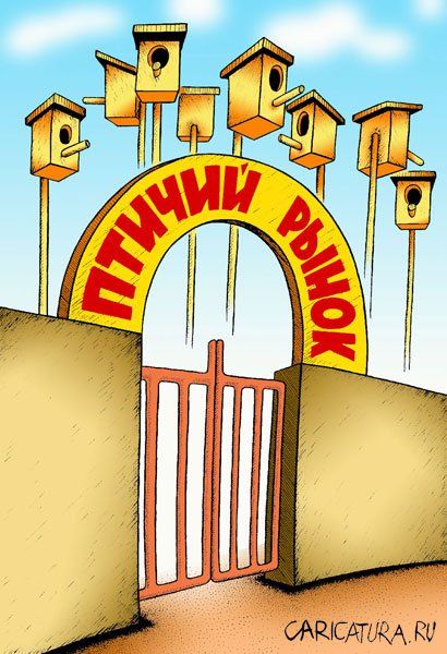 Карикатура "Птичий рынок", Александр Шмидт