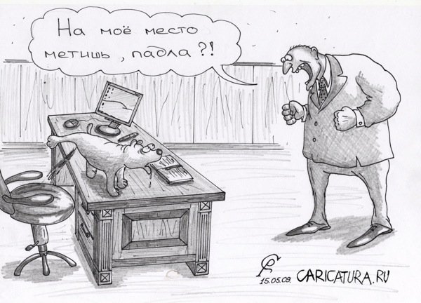 Карикатура "Метит", Роман Серебряков