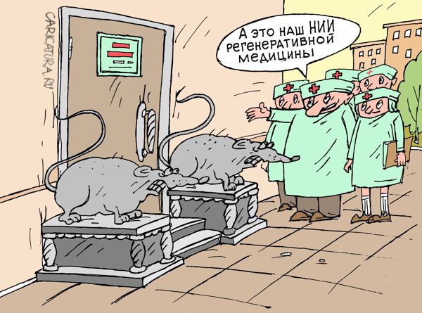Карикатура "НИИ регенеративной медицины", Виктор Богданов