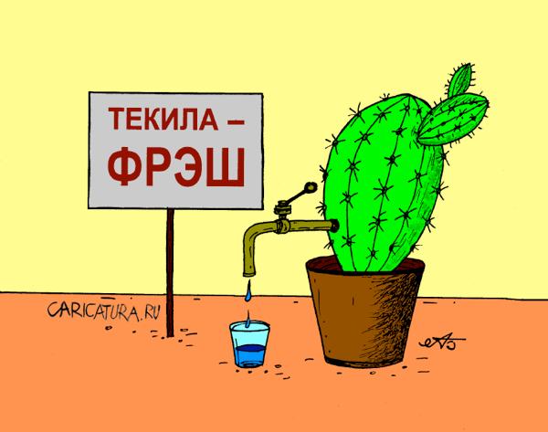 Карикатура "Текила", Александр Булай