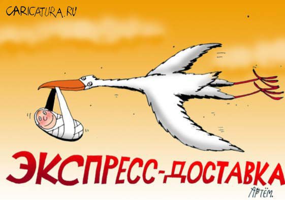 Карикатура "Экспресс-доставка", Артём Бушуев