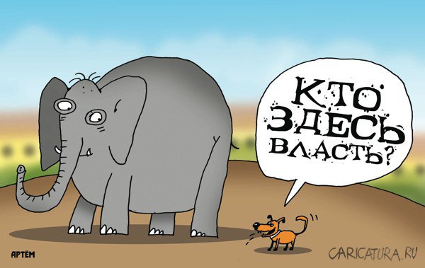 Карикатура "Кто здесь власть?", Артём Бушуев