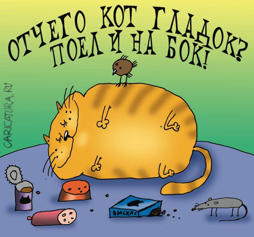 Карикатура "Отчего кот гладок?", Артём Бушуев