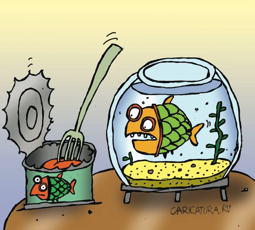 Карикатура "Рыбка в банке", Артём Бушуев