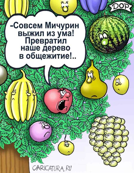 Карикатура "Дерево Мичурина", Руслан Долженец