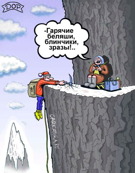 Карикатура "На вершине", Руслан Долженец