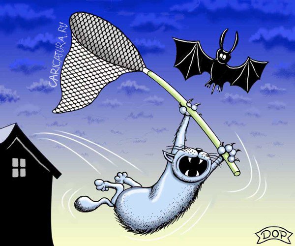 Карикатура "Охота на мышь", Руслан Долженец