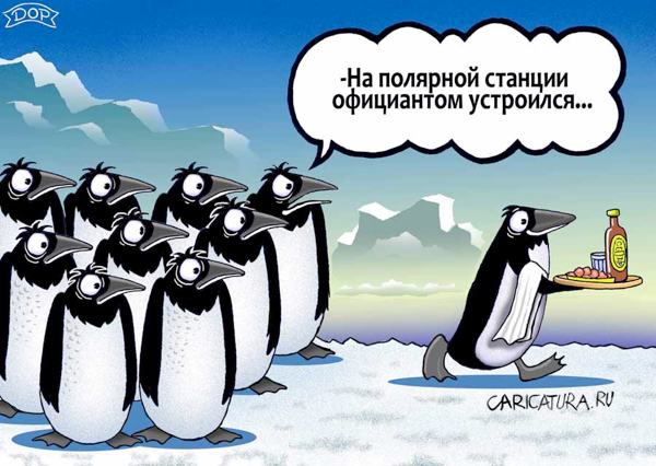 Карикатура "Пингвины", Руслан Долженец