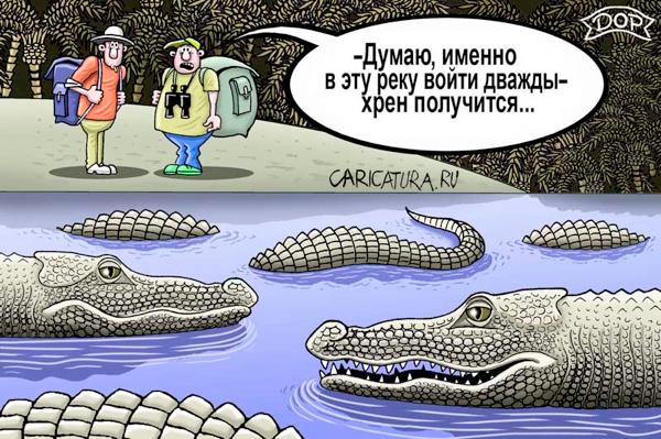 Карикатура "Правда поговорки", Руслан Долженец