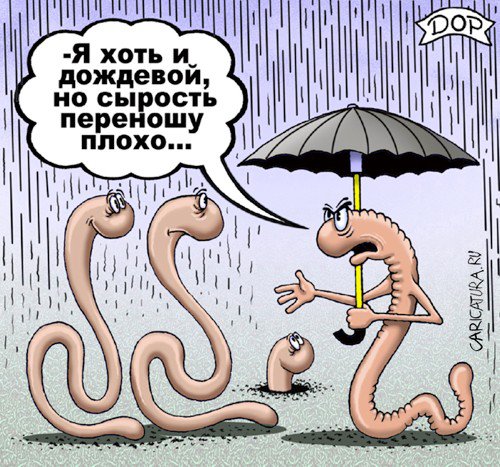 Карикатура "Сырость", Руслан Долженец