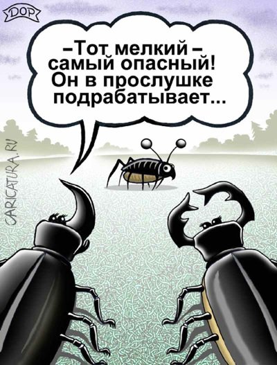 Карикатура "Жучок", Руслан Долженец