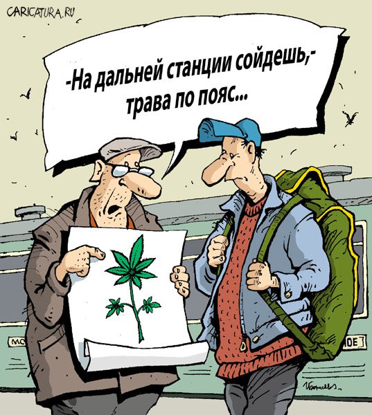 Карикатура "Трава по пояс", Игорь Елистратов