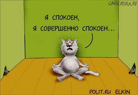 Карикатура "Я спокоен...", Сергей Елкин