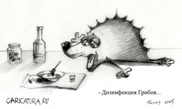 Карикатура "Дезинфекция грибов", Владимир Еберза