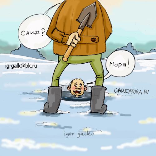 Карикатура "Морж", Игорь Галко