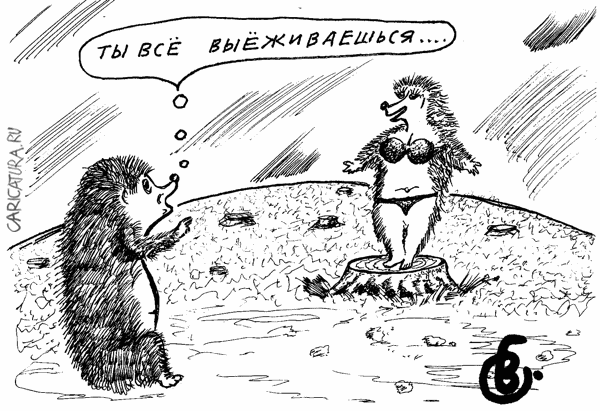 Карикатура "Ежи", Владимир Гаврилов