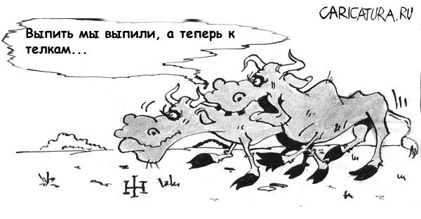 Карикатура "К телкам", Игорь Халвачи