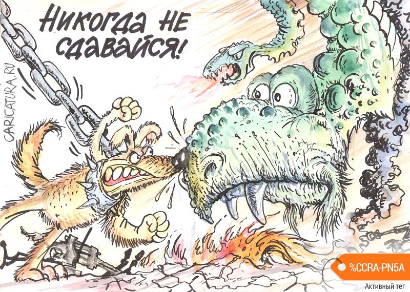Карикатура "Никогда не сдавайся", Бауржан Избасаров