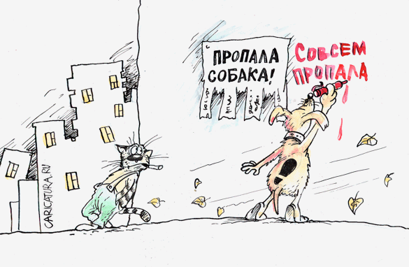 Карикатура "Пропала собака", Бауржан Избасаров