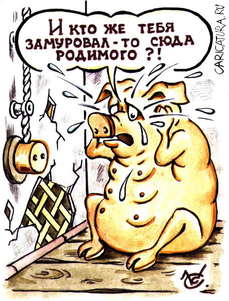 Карикатура "Ошибочка вышла", Сергей Комаров