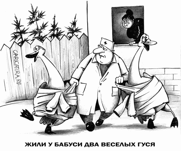 Карикатура "Два веселых гуся", Сергей Корсун