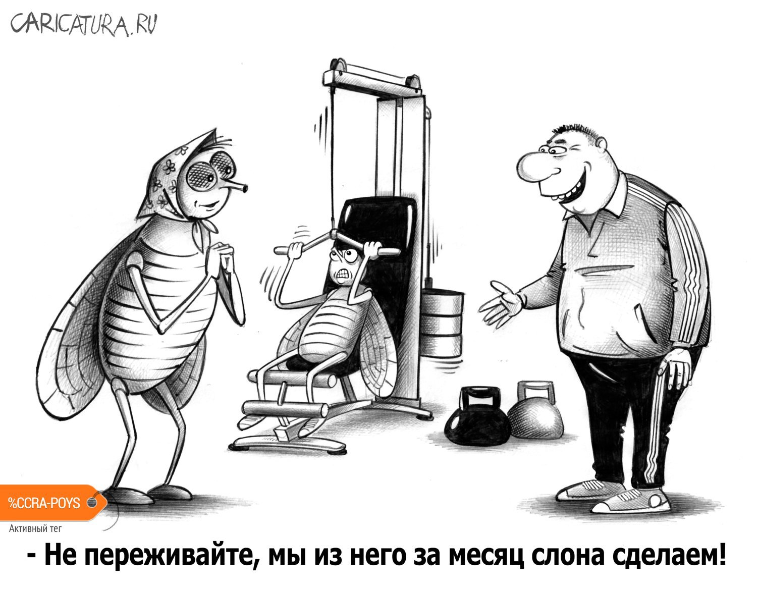 Карикатура "Из мухи слона", Сергей Корсун