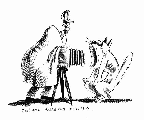 Карикатура "Ловец птичек", Сергей Корсун