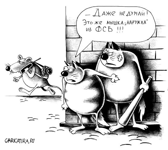 Карикатура "Мышка-наружка", Сергей Корсун