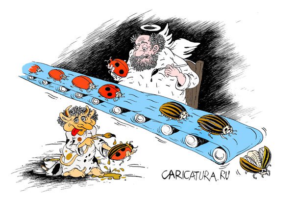 Карикатура "Коровки и жуки", Алексей Кустовский