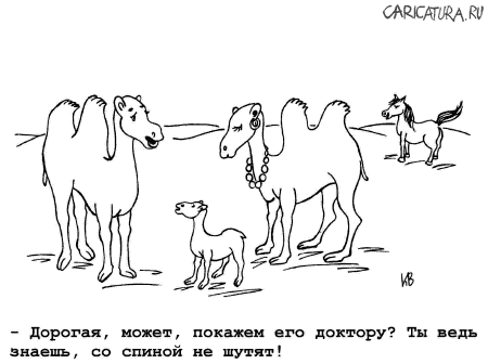 Карикатура "Верблюды", Игорь Куцевич